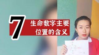 数字心理学|数字解码：生命数字主要位置的含义？1