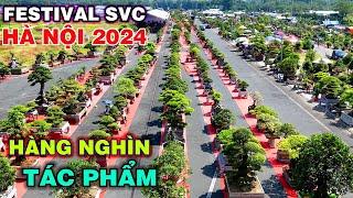 Toàn cảnh Festival Sinh Vật Cảnh Hà Nội 2024 từ trên cao và lịch trình hoạt động (Tập 2)