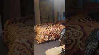 Welcome to Xi'An Warriors Apartment! #travel