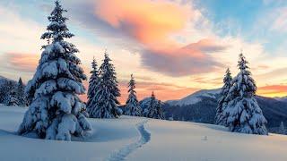 Beautiful Relaxing Music, Peaceful Soothing Instrumental Music, "Winter Woods" by Tim Janis