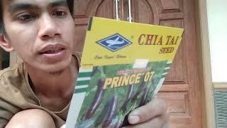 unboxing benih terong prince 07 #viral #petanimuda #petanimilenial #budidayaterong