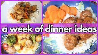 SOME NEW,  SOME TRIED & TRUE | What’s For Dinner? #349 | 1-WEEK OF REAL LIFE MEALS