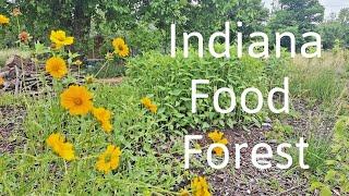 Half-Acre Zone 5b Indiana Permaculture Food Forest Garden