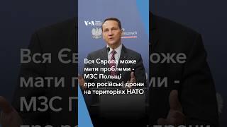 Вся Європа може мати проблеми - Сікорський про російські дрони на територіях НАТО #shorts