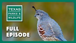 PBS Show - Franklin Mountains, Water Wardens & Clymer Meadow