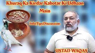 Khuraq Ka Kirdar Kabotar Ki Udhaan Main|Ustad Waqas|Khuraaq Denay Kyun Zaruri Hai|Info|Discussion