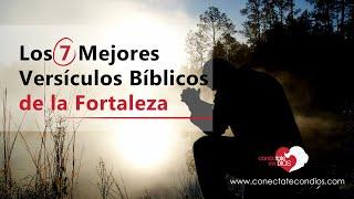  Los 7 Mejores Versículos Bíblicos de la Fortaleza (Textos de la Biblia de Fortalecimiento)