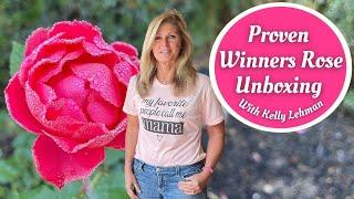 Proven Winners Rose Unboxing With Kelly Lehman