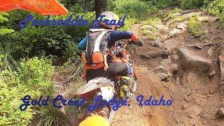 Packsaddle Trail at Gold Creek Lodge, Idaho: taking your 9 year old kid on  gnarly single track