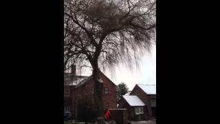 Tree felling not gone wrong!