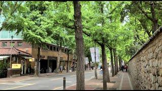 [4K] My Perfect Stranger & My Liberation Notes Filming Location : Walking on Jeongdong-gil  in Seoul