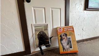 How to Install a Pet Door | Ideal Pet Products