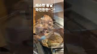 #shorts #일요일오후 #파전 #웅자와함께라면