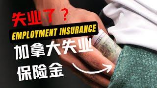 失业了怎么办？加拿大失业保险金 Employment Insurance(EI) 申请全攻略！| 加拿大EI：需要知道的种类和申请条件！ | 申请加拿大失业保险金的最佳时间是什么时候？