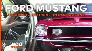 FORD MUSTANG: Oldtimer-Traum wird Restauriert – Besser als das Original | WELT DRIVE DOKU