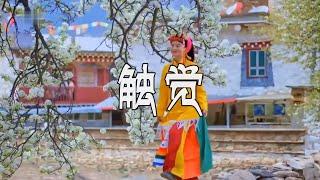 卓玛措《触觉》MV唱着欢快的藏歌 跳起热腾的锅庄舞/Tibetan Song and Dance