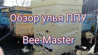 Обзор улья ППУ от производителя Bee-master.