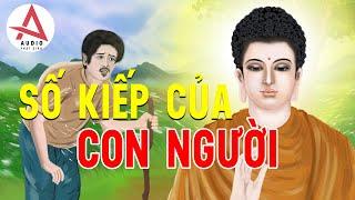 Kể Truyện Đêm Khuya - Câu chuyện phật giáo hay nhất về số kiếp con người, nghe để cải đổi vận mệnh