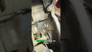 1979 Chrysler 300 Project (29) - Classic Car Engine Timing | Mechanic's Secret Tip!