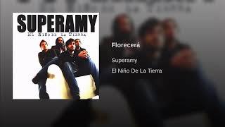 SUPERAMY // FLORECERÁ