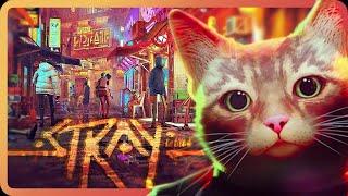 Прощавай людство - STRAY | Огляд гри українською