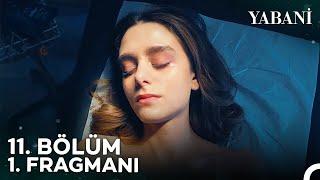 Yabani 11. Bölüm 1. Fragmanı | "Şimdiden Başınız Sağ Olsun!"