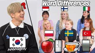 Korean Was Shocked By CRAZIEST Word Differences Around The World l FT. MCND