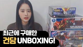 ENG SUB) Unboxing recently purchased Gunplas!  Astray & Sinanju & Aegis & Destiny Gundam