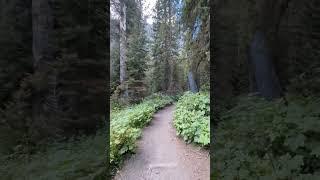 Forks of Cascade Canyon | Jennny Lake | Grand Teton | Hiking Adventures | Pickupsports | 9