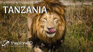 The Best Things to do in Tanzania  | The Planet D