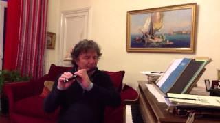 flute piccolo    Piccolo Beaumadier Video 4 : Le travail du staccato