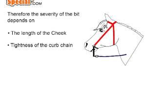 The Curb Bit.  How it works.