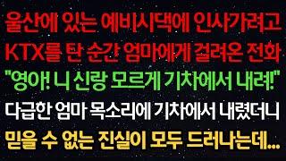 실화사연-울산에 있는 예비시댁에 가려고 KTX를 탄 순간 엄마에게 걸려온 전화 "영아! 니 신랑 모르게 기차에서 내려!" 다급한 목소리에 기차에서 내렸더니 진실이 모두 드러나는데