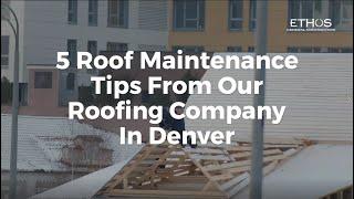 5 Roof Maintenance Tips From Our Roofing Company In Denver