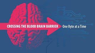 Crossing the Blood Brain Barrier: One Byte at a Time