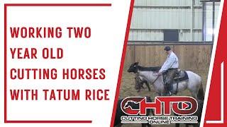 Working Two Year Old Cutting Horses With Tatum Rice