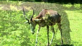 ZOO OSTRAVA !!!