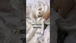 무더위에 감정기복 심해짐