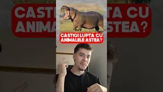 Ai putea să CÂȘTIGI o luptă cu ANIMALELE astea?!