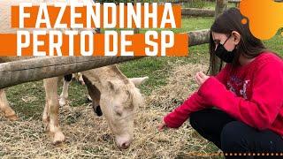 SÍTIO CHIBANA: fazendinha perto de São Paulo | Passaporte Digital