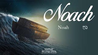 Torah Portion | Noach - נֹחַ | Noah