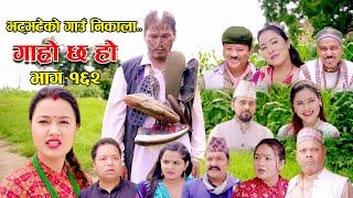 भट्भटेको गाउँ निकाला II Garo Chha Ho II Epi: 162 II August 7, 2023 II Begam Nepali II Riyasha Dahal