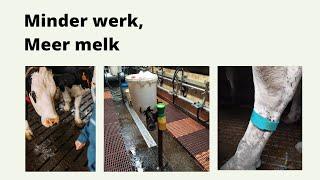 Minder werk, meer melk