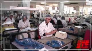 Steiner Electronic Ltd. Presentation