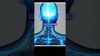 Michio Kaku: Why AI Still Can’t Match the Human Brain