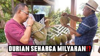 DURIAN BERKUALITAS DITANAM DI LAMONGAN‼️ CAKJI LANGSUNG PELAJARI CARANYA