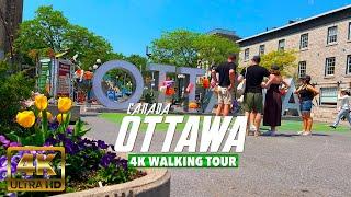 Ottawa Canada  Saturday 4K UHD (HDR) 60 fps Walking Tour 2024 Around Downtown