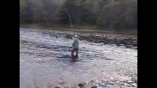 Mr Peter Dobson Speycasting On The River Tay Scotland