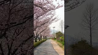 순천만국가정원