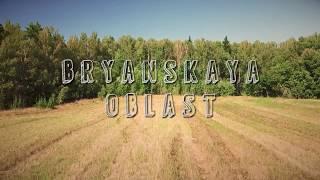 Bryanskaya oblast the bird's-eye view